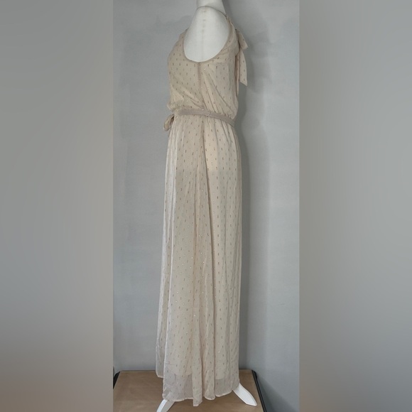 ModCloth Illuminated Elegance Chiffon Sleeveless Maxi Dress Size Medium - Picture 3 of 11